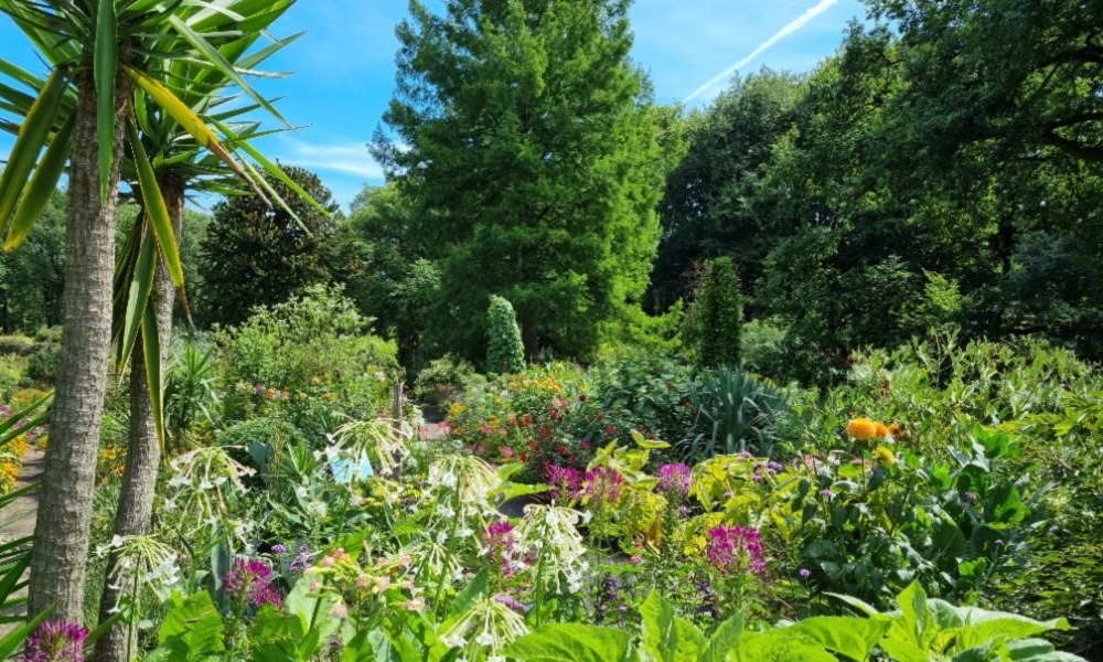 Die Bereiche des Botanischen Gartens Bremer RhododendronPark
