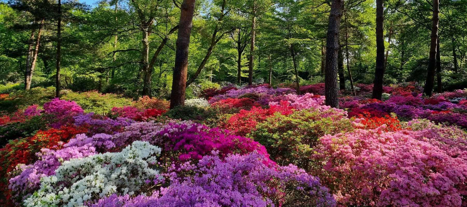 Karriere - Bremer Rhododendron-Park