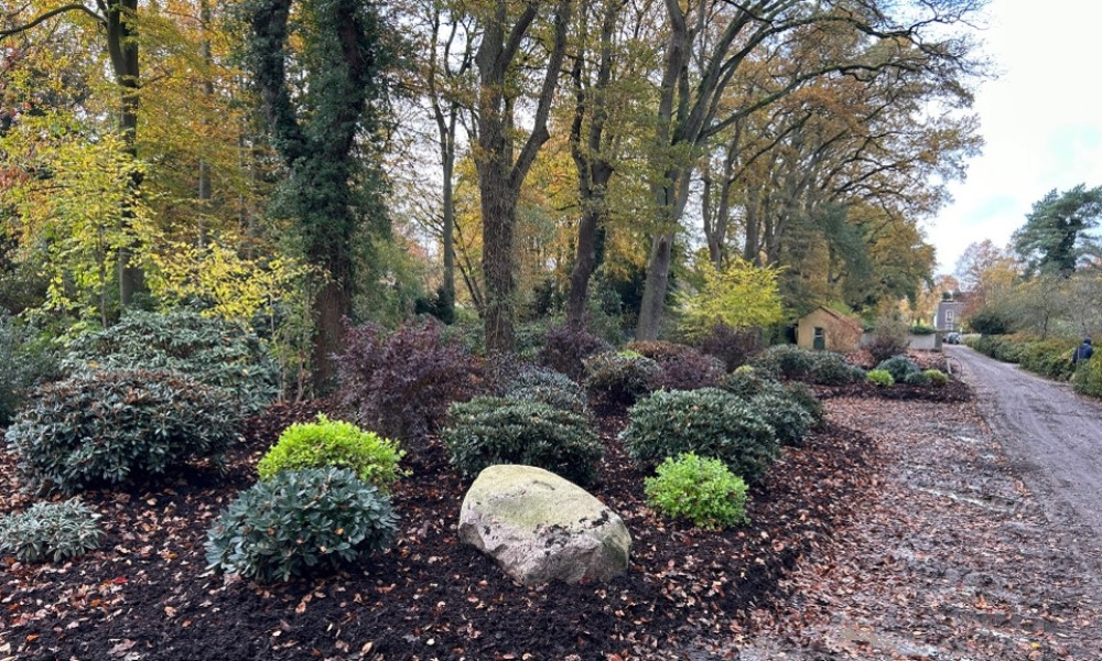 Neues Beet am Eingang Deliusweg Bremer RhododendronPark