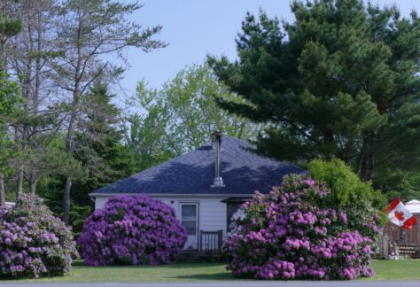 Haus inmitten von Rhododendron in Nova Scotia